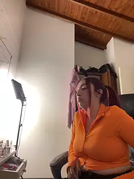 Paulina-Wells webcam