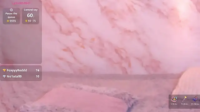 Dakotaferreti webcam