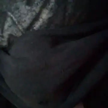 PenerPanShibari webcam