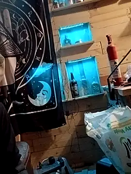 Buffshagswell webcam