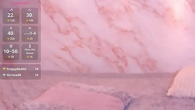 Dakotaferreti webcam