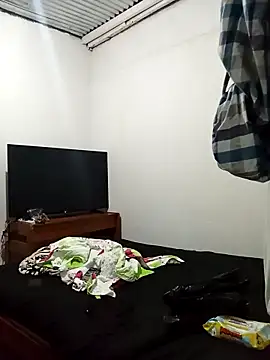 Kingbigcock23cm webcam