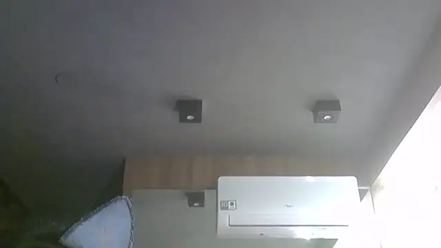 SkinnyKitten webcam
