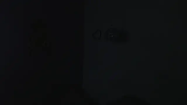 onixandghosty1 webcam