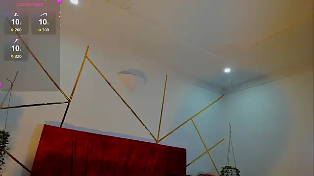 Julieta_Lein_ webcam