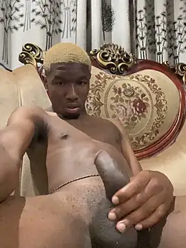 EthnicalLense webcam