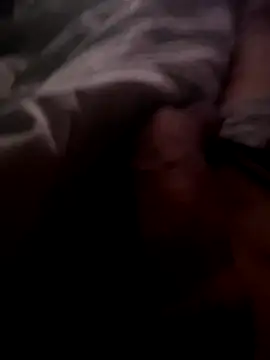 groschibre40100 webcam