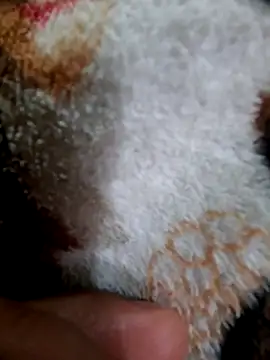 hotdickforbhabhi webcam