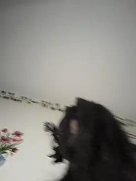 Melanin_babygal webcam