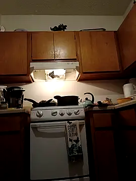 ReallyReallyReal webcam