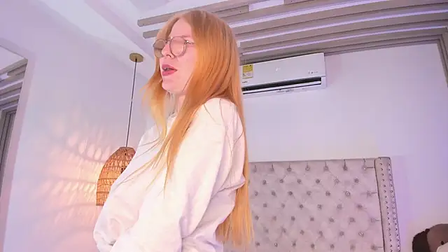 Alexa_Handler webcam