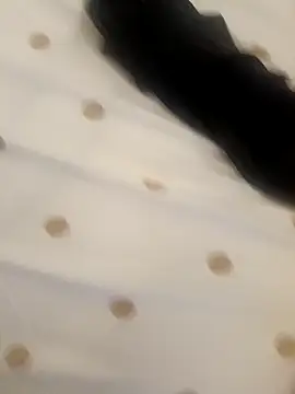 fadadaPutaria webcam