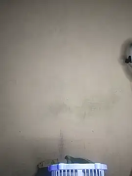 Alexsexygamer webcam