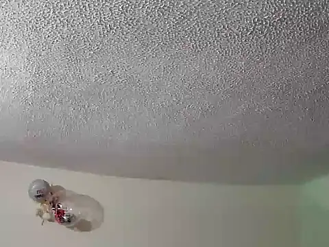 ashleey_palmer webcam