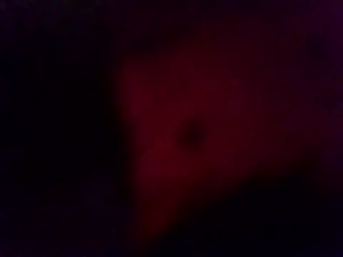 thekinglizard webcam