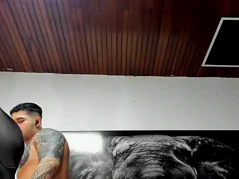 king_falconer webcam