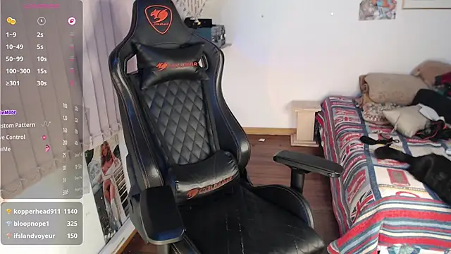 Siriss_boyrag webcam