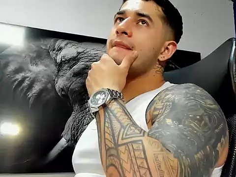 king_falconer webcam