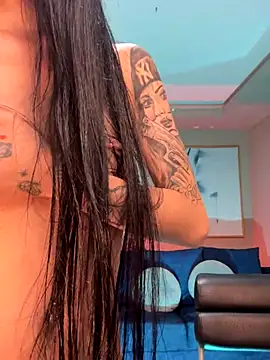 LaurentConnor webcam