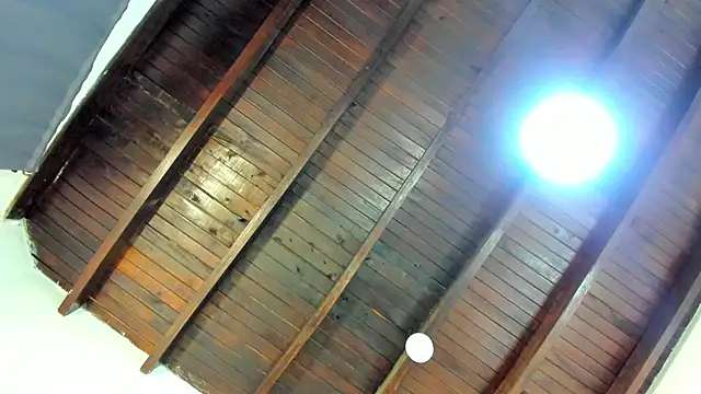 ariana-martins webcam