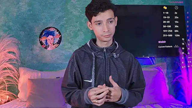 VicenteFerrer webcam