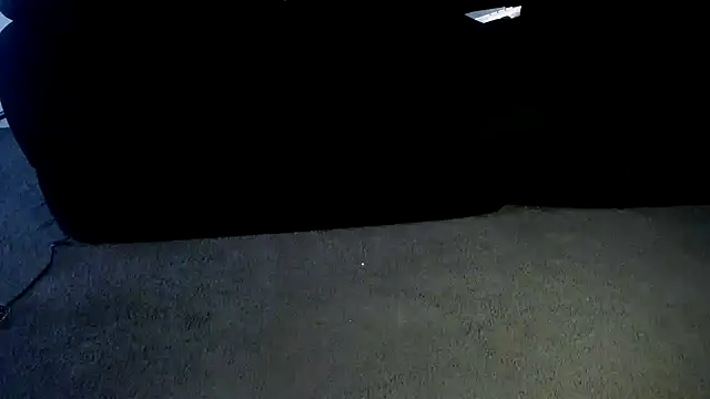 Niquitasparkles webcam