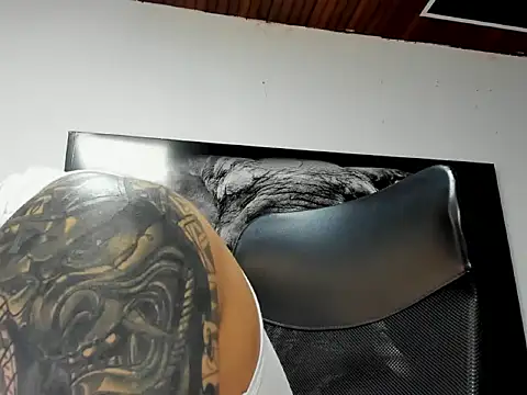 king_falconer webcam