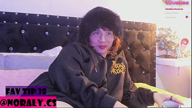 hey_noraly webcam