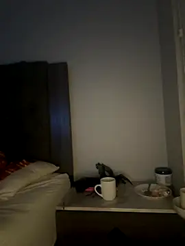 celeste103139 webcam stripchat model stream image