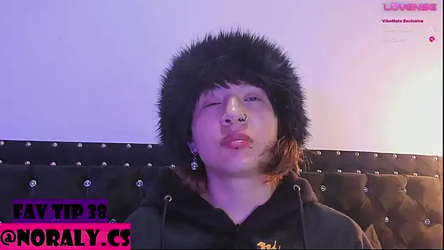 hey_noraly webcam