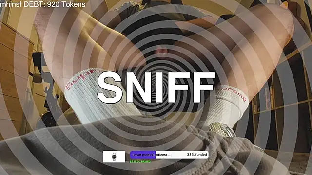 cashmastergrey webcam