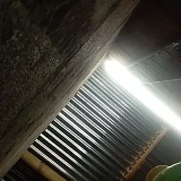 PenerPanShibari webcam