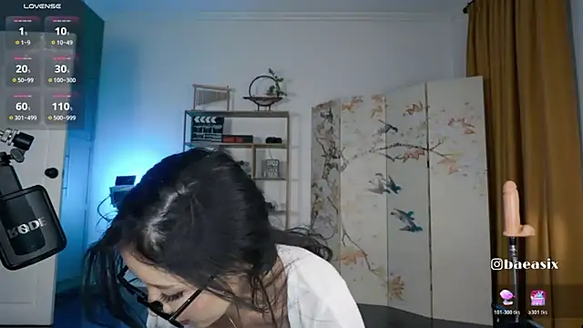 baeasian webcam