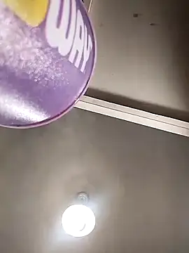 Bellatriz-horse webcam