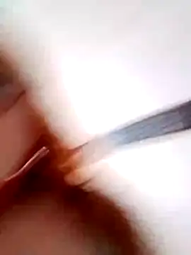 Bellatriz-horse webcam