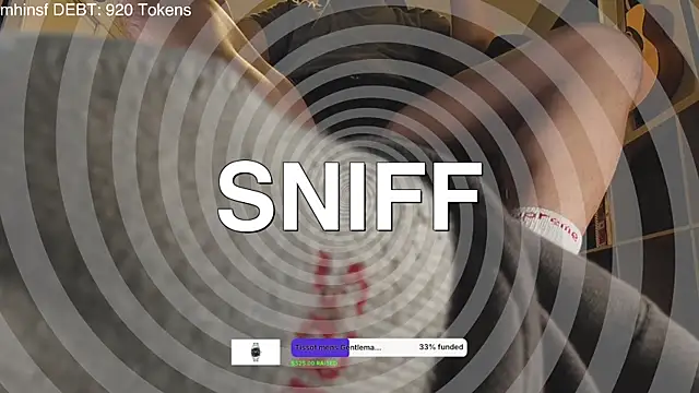 cashmastergrey webcam