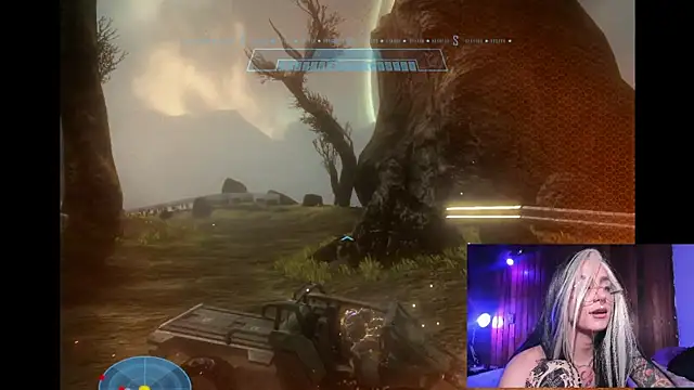 Kittyhell_cam webcam