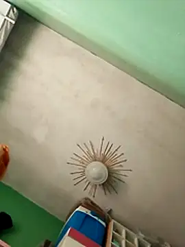 Bellatriz-horse webcam