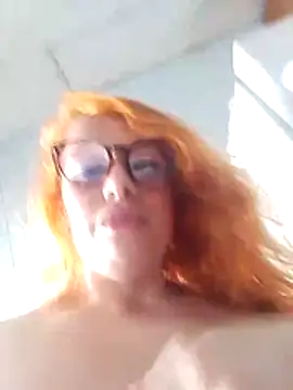 Bellatriz-horse webcam