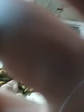 thequestiontrad webcam