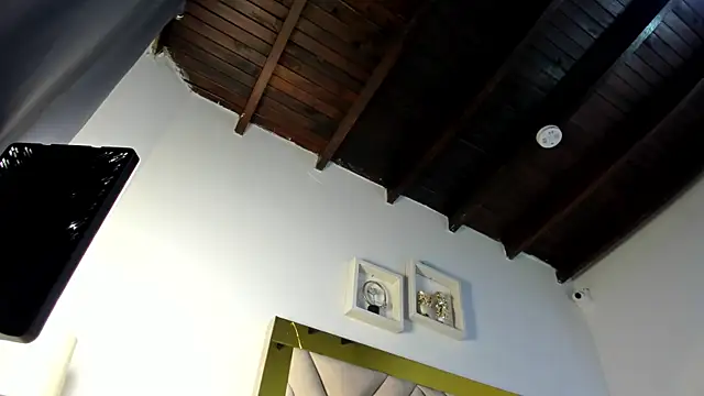 ariana-martins webcam