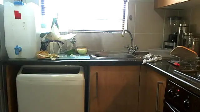 NewBeginnings8 webcam