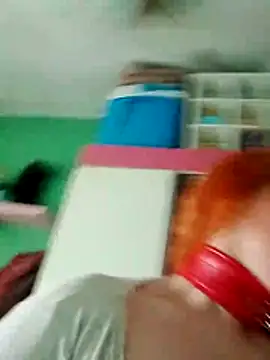 Bellatriz-horse webcam