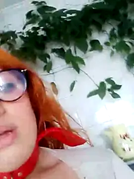 Bellatriz-horse webcam