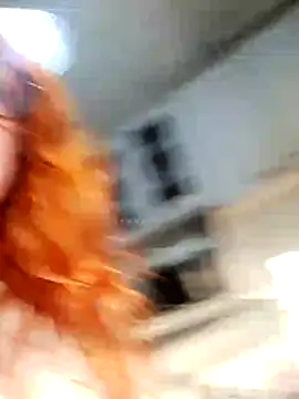 Bellatriz-horse webcam