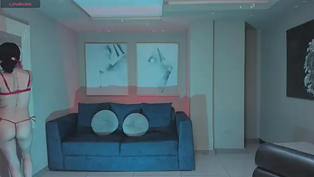 LaurentConnor webcam