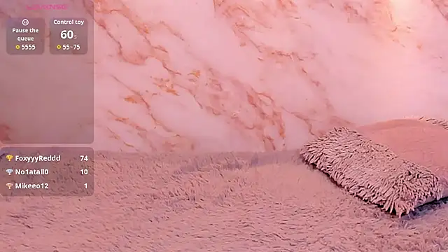 Dakotaferreti webcam