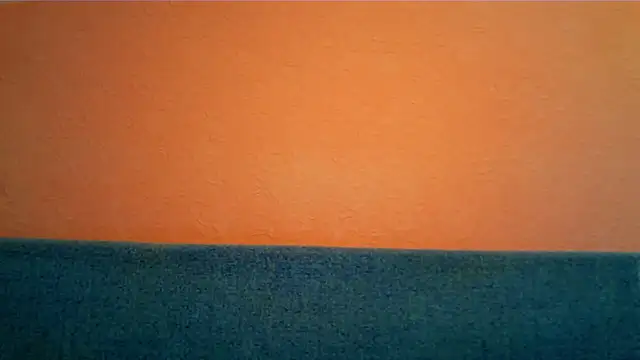 Honey_Whisper webcam