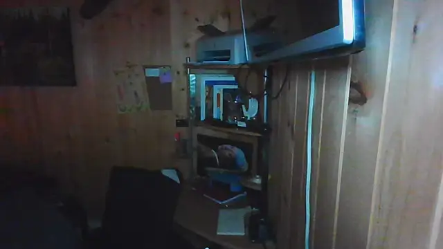 forbiddenbabygirl webcam