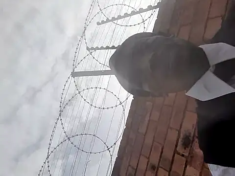 Lets-Collaborate webcam